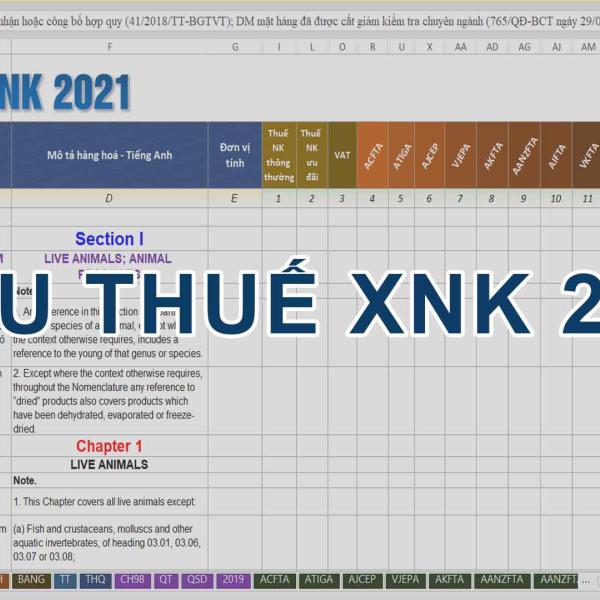 BIỂU THUẾ XUẤT NHẬP KHẨU 2021 FILE EXCEL MỚI NHẤT 22/6