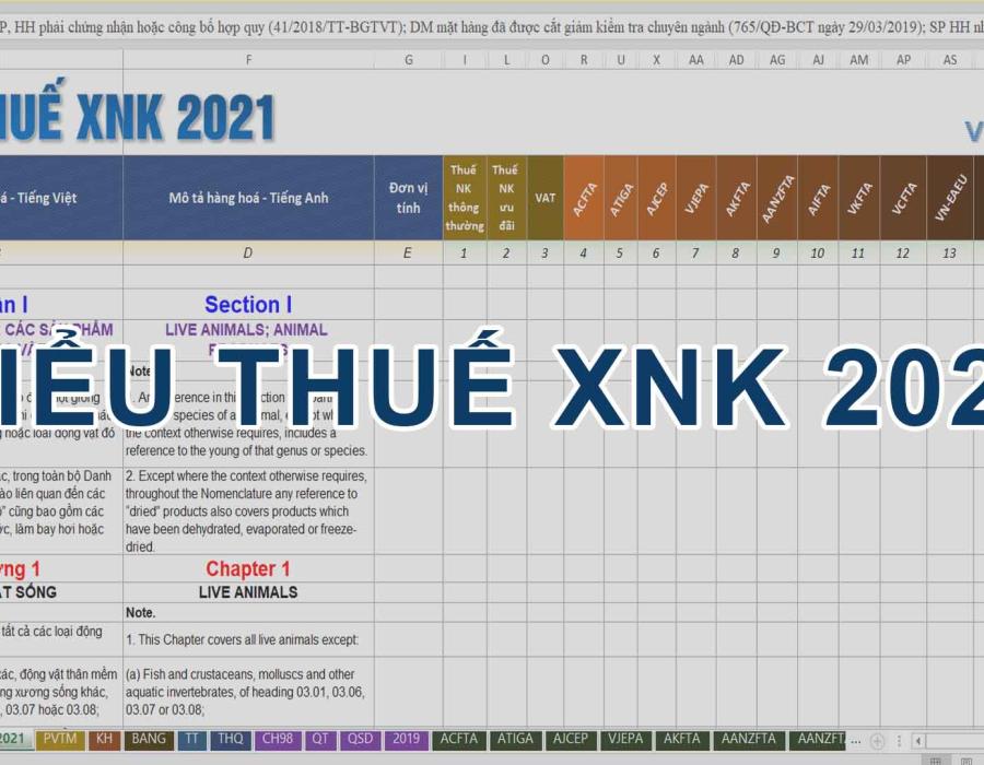 BIỂU THUẾ XUẤT NHẬP KHẨU 2021 FILE EXCEL MỚI NHẤT 22/6